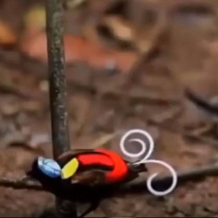 rashidah678's profile picture. Cinematographer