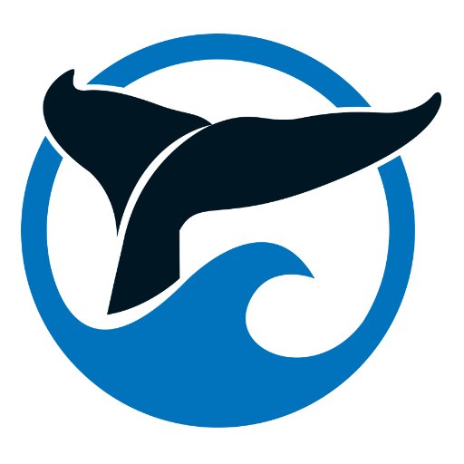 Whale_Tours Profile Picture