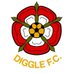 Diggle Football Club (@digglefc) Twitter profile photo Diggle Football Club (@digglefc) Twitter profile photo