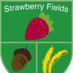 Strawberry Fields PS (@strawberryfps) Twitter profile photo Strawberry Fields PS (@strawberryfps) Twitter profile photo
