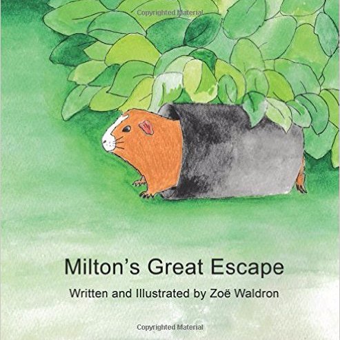 Illustrator and Author of self-published Children's book 'Milton's Great Escape' #GuineaPigs #Childrensbooks #Illustrators #Authors