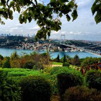 Thistleİst (@gidstambul) Twitter profile photo