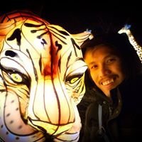 phongnguyen's profile picture.