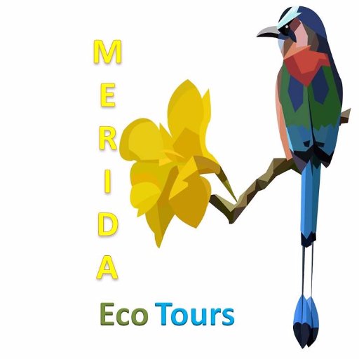 meridaecotours's profile picture. Operador Eco-Turístico en Yucatan México, Eco Turismo, Naturaleza y mas, informes y reservaciones: madrigal2107@gmail.com #ViajaAYucatan