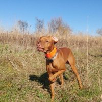 BRUT (@barbrutkowski) 's Twitter Profile