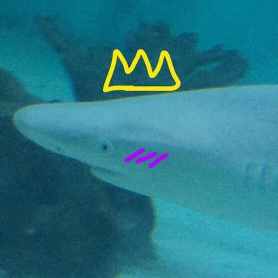 Shark/124/Ocean full time marine animal, part time father. they/them