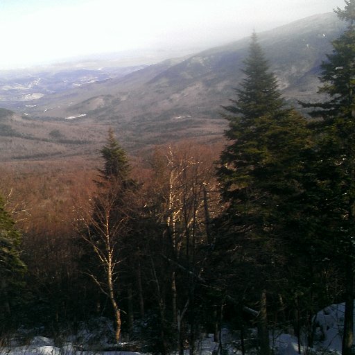 Mother, computer geek, climate activist, fighting to clean up my town's water from PFAS, likes learning new things! Views are my own.