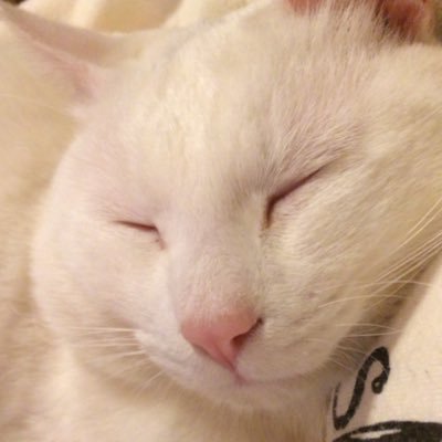 ももとせさんのプロフィール画像