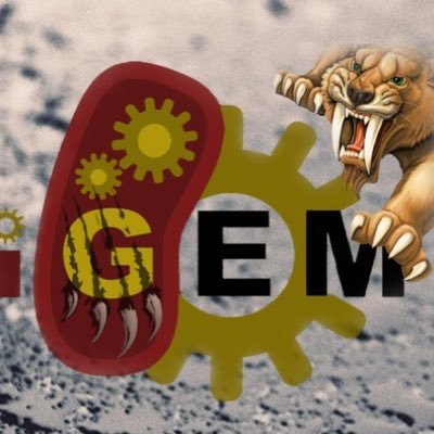 CVHS_iGEM's profile picture. Colorado's first high school iGEM team.