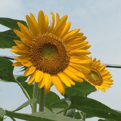2023年ついに還暦をむかえましたが、そんな事は気にせず、仕事に、趣味に、頑張りたいと思います!趣味:ゴルフ・スキー・テニス・釣り・アニメ・最近サックス…。ヨロシクお願いします!
