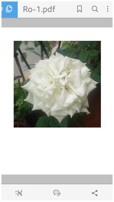 chaithanya362's profile picture. 