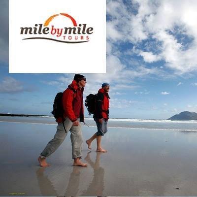 milebymiletours's profile picture. We do tours of Cape Town in the form of city tours, Cape Point tours, Winelands tours, Township tours and more. Visit http://t.co/hOrgXoQy for more info.