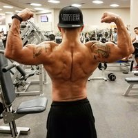 Limitless Physique(@flak0) 's Twitter Profile Photo