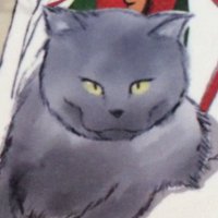 はるな猫(ここにいました)(@asyuracat) 's Twitter Profile Photo