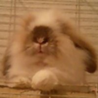 荒井ノブヒロ (@sakuranothuisou) 's Twitter Profile