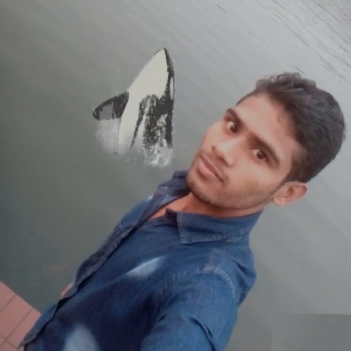 MdSipon11's profile picture. 