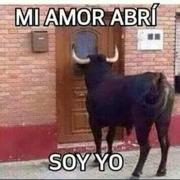 Cornudo_Cockold's profile picture. Intercambio de fotos, solo videos por atras, me parece aburridisimo por adelante idem misionero,adoracion por el culo de mi mujer
NO USO MAS SKYPE