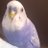 mosattomossa's profile image