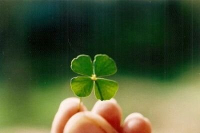 BlaaLikeblaa's profile picture. 以前有千多人关注的18+账号，结果不小心注销了，现在重新来过🤫