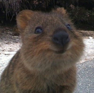 ooobbb12's profile picture. 