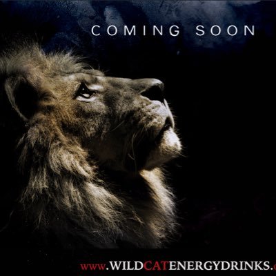WildCatCanada's profile picture. WildCat a lightly carbonated EnergyDrink for people whose lifestyles and occupations demand that extra wild kick. #WildCatEnergy
