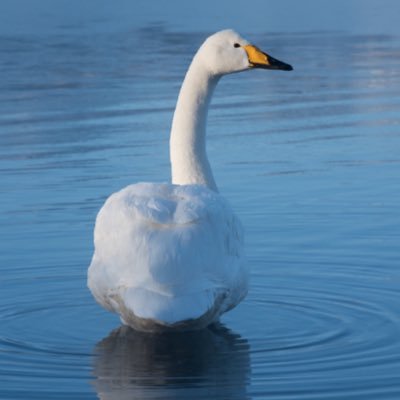 matka1014a's profile picture. はてなブログをやってます。月間20万PV以上。