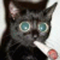 Dana Ledbetter - @mate8a Twitter Profile Photo