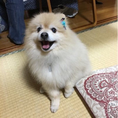 Midai3510's profile picture. 中学３年  /元野球部です。 どうぞ宜しく！w