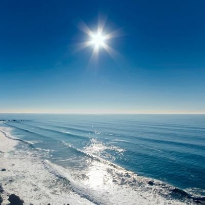 naswizchampions's profile picture. 