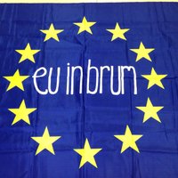 EU IN BRUM #FBPE(@euinbrum) 's Twitter Profile Photo