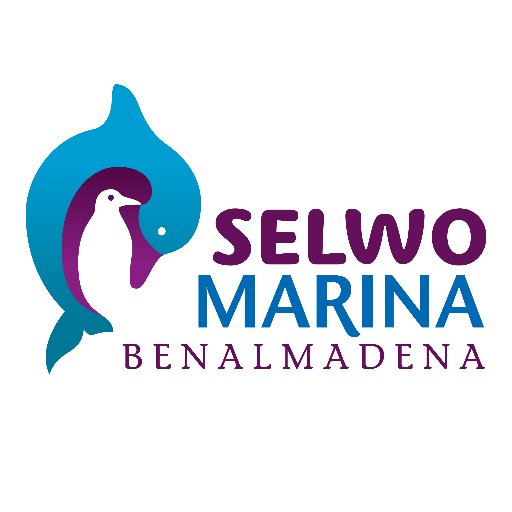 🐧 Conoce todo sobre las especies, actividades didácticas y experiencias únicas de Selwo Marina. ¡Atento a nuestras promociones!
☎ 951 568 160
📧 selwo@selwo.es