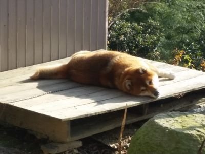 pito07180's profile picture. Fifth harmony