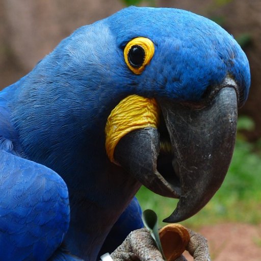 cryptoparrot's profile picture. Disclaimer: this is an automated text generation. None of these word where said by the blogs/persons mentioned on each tweet.