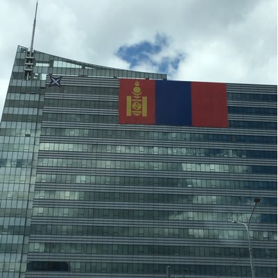 BayaTsedev's profile picture. 