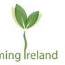 Social Farming Ireland ltd Profile