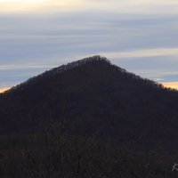 KnowPickens (@knowpickens) 's Twitter Profile