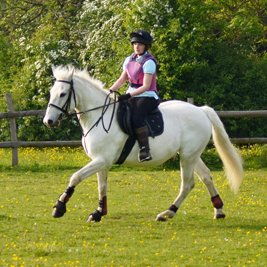 Writer, editor, equine photographer and Photoshop addict. CCCU graduate. Horse owner; barefoot convert. Ask me about hoof boots.