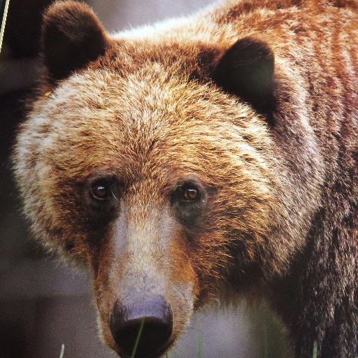 Jbbxxxx's profile picture. 