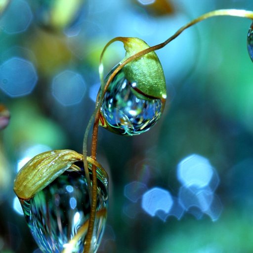 zanyonefivefive's profile picture. https://t.co/4jXMKNVKhQ  Children. Music. Colours. Words. Ah... and the Universe