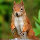 Frank Fleischmann - @FrankR65 - Twitter