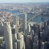 Kasimbeetlestone (@kazbeetlestone) 's Twitter Profile