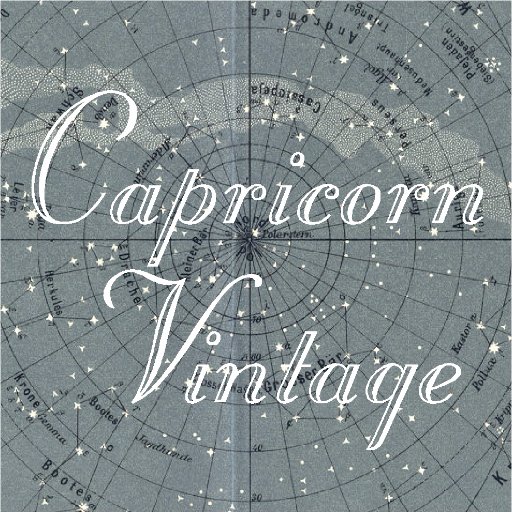 Selling vintage online since 1998! Collector, curator, wearer, seller of vintage attire. Lover of old things. :)
