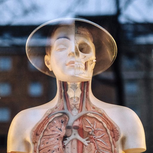 HeadacheReview's profile picture. The ONLY community driven review website for #headache and #migraine sufferers.  Visit https://t.co/jQB2iCNhBZ!  Free eBook included!