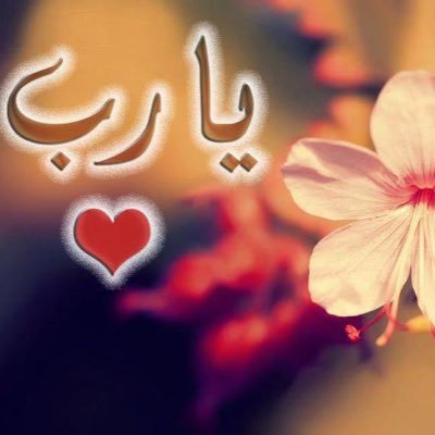 Ka__ksa1's profile picture. ⠀⠀⠀⠀⠀⠀⠀ ⠀⠀⠀⠀⠀⠀⠀⠀⠀⠀⠀⠀⠀⠀⠀⠀⠀⠀⠀⠀⠀⠀⠀⠀⠀⠀⠀⠀⠀⠀⠀⠀⠀⠀⠀⠀⠀⠀⠀⠀⠀⠀⠀⠀⠀⠀⠀⠀⠀⠀⠀⠀⠀⠀⠀⠀⠀⠀⠀⠀⠀⠀ ⠀⠀⠀⠀⠀⠀⠀⠀⠀⠀⠀⠀⠀⠀⠀⠀⠀⠀⠀⠀⠀⠀⠀ ⠀⠀⠀⠀⠀⠀⠀⠀⠀⠀⠀⠀⠀⠀⠀⠀⠀⠀⠀⠀⠀⠀⠀⠀⠀⠀⠀⠀⠀⠀⠀⠀⠀⠀⠀⠀⠀⠀⠀⠀⠀⠀⠀⠀⠀⠀⠀⠀⠀⠀⠀⠀⠀⠀⠀⠀⠀⠀⠀⠀⠀ ⠀⠀