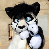 Impawsible spots (@tristankitty) 's Twitter Profile