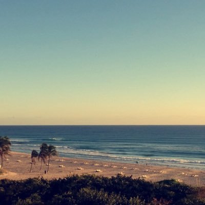 madspekm's profile picture. Eng Comp Account// TR 12:30-1:45pm with Dr. Daniel #UNGCOMPMD