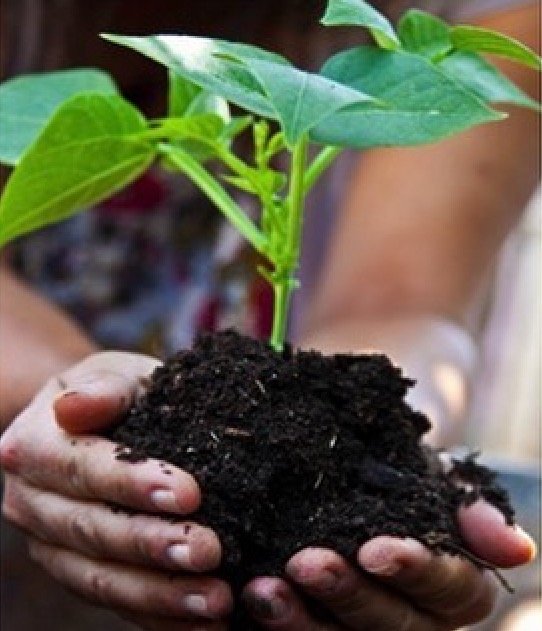 301organics's profile picture. Environmental consulting, zero waste and sustainability specialist.