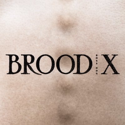 new album BROOD X out March 24