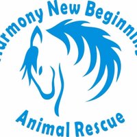Harmony New Beginnings Animal Rescue(@hnbarescue) 's Twitter Profile Photo