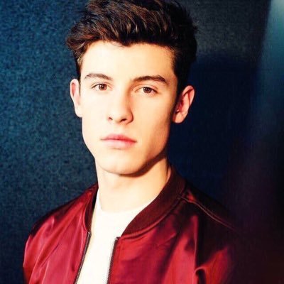 Essa conta irei usar para ajudar nas votações para SHAWN MENDES e 5SOS